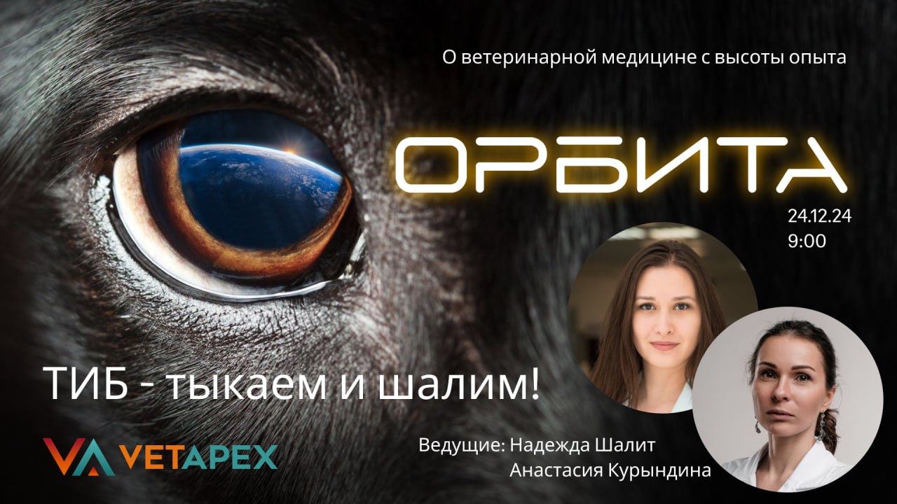 «ОРБИТА» с онкологом Анастасией Курындиной и специалистом УЗ-диагностики Надеждой Шалит