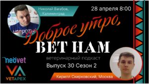 Доброе Утро — Вет Нам! — Выпуск №30 (сезон 2) Гость программы  Кирилл Скирковский