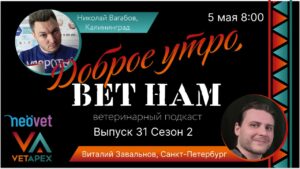 Доброе утро – Вет Нам! выпуск №31 (сезон 2) Гость программы — Виталий Завальнов