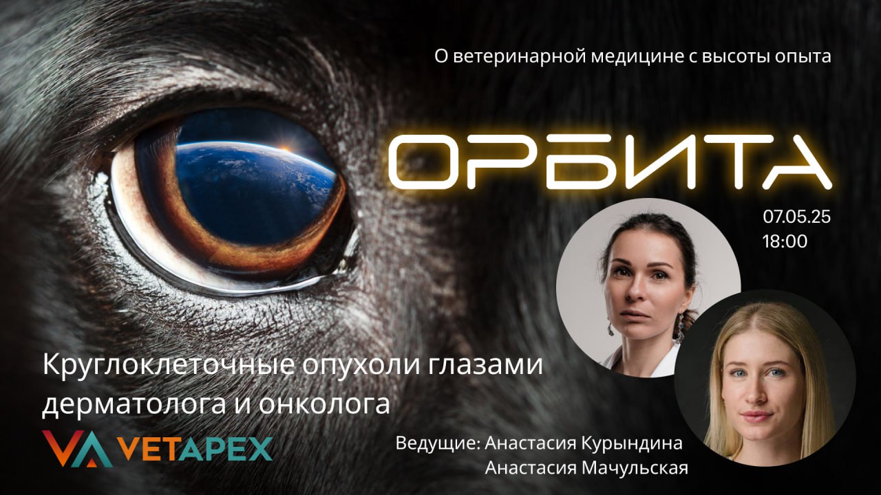«ОРБИТА» с онкологом Анастасией Курындиной  и дерматологом Анастасией Мачульской