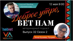 Доброе утро – Вет Нам! выпуск №32 (сезон 2) Гость программы —  Анна Бушева