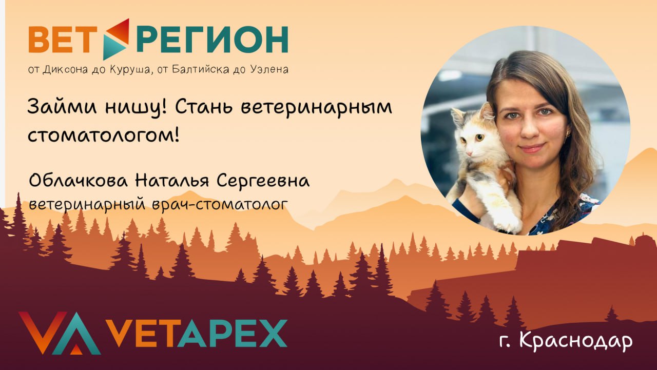 ВетРегион №12 — Наталья Облачкова «Займи нишу! Стань ветеринарным стоматологом!»