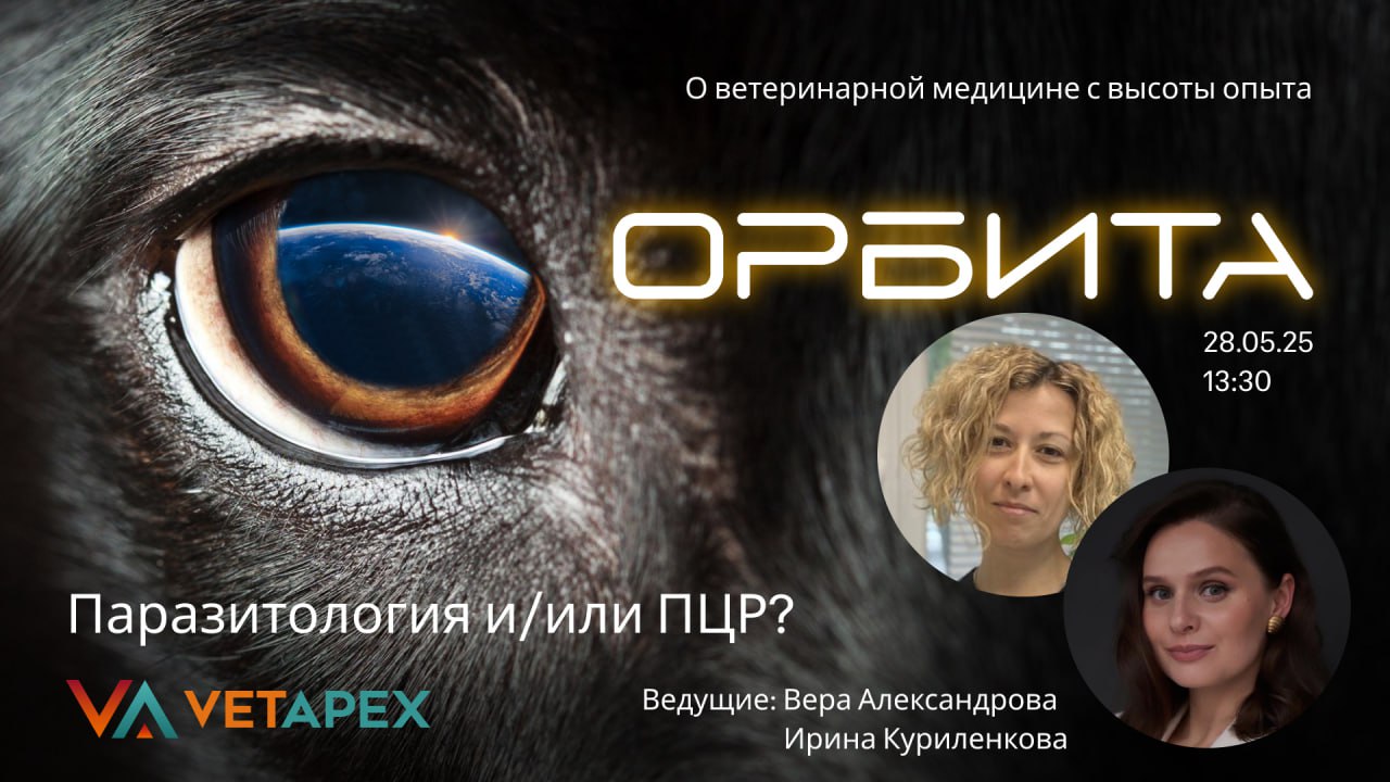 «ОРБИТА»с терапевтом Верой Александровой и врачом лабораторной диагностики Ириной Куриленковой