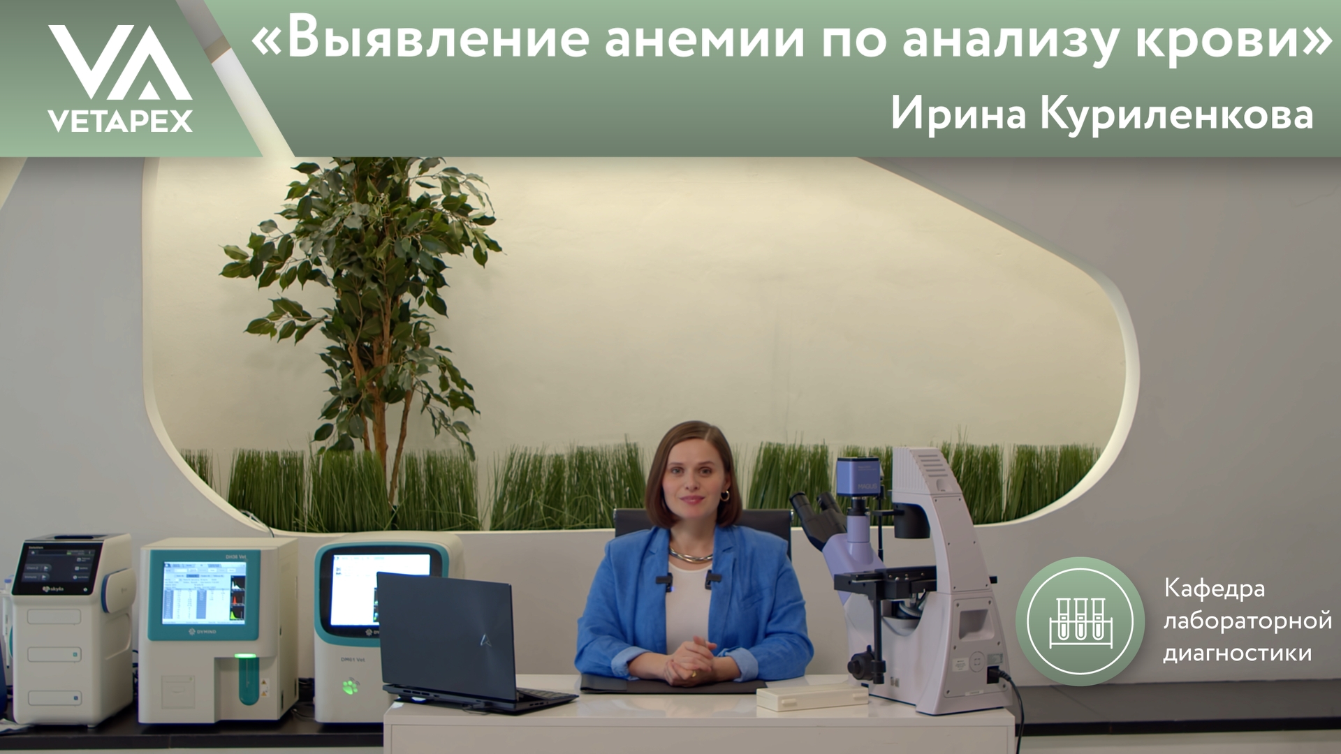 «Выявление анемии по анализу крови»