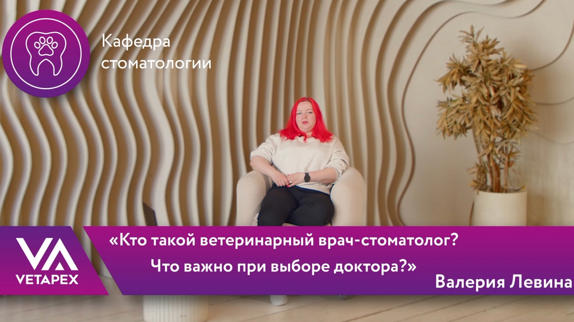 Кто такой ветеринарный врач-стоматолог? Что важно при выборе доктора?