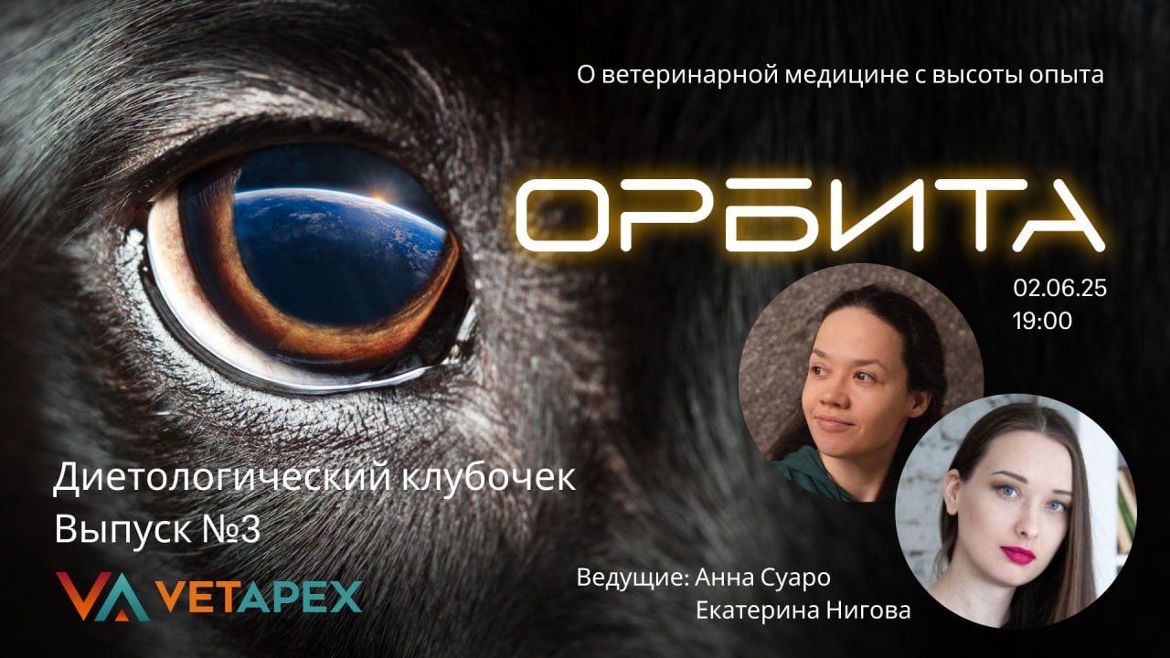 «ОРБИТА» — Диетологический клубочек выпуск №3 с диетологами Екатериной Ниговой и Анной Суаро