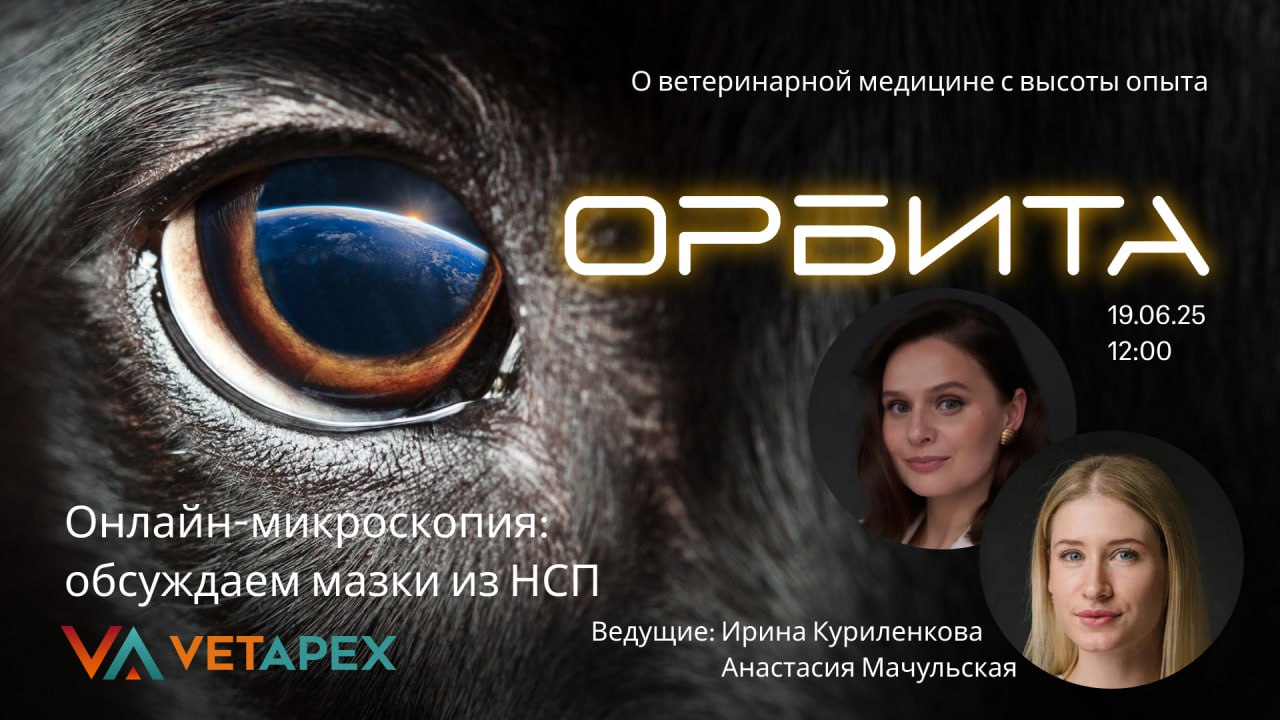 «ОРБИТА»- с дерматологом Анастасией Мачульской и врачом лабораторной диагностики Ириной Куриленковой