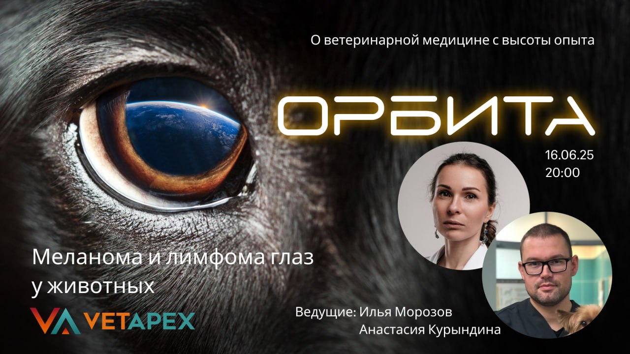 «ОРБИТА»- с онкологом Анастасией Курындиной и офтальмологом Ильёй Морозовым