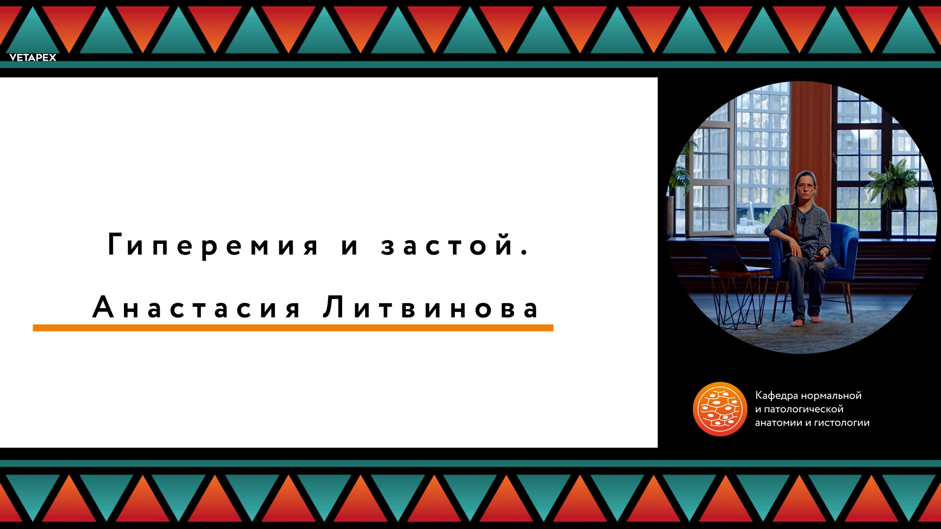 «Гиперемия и застой»