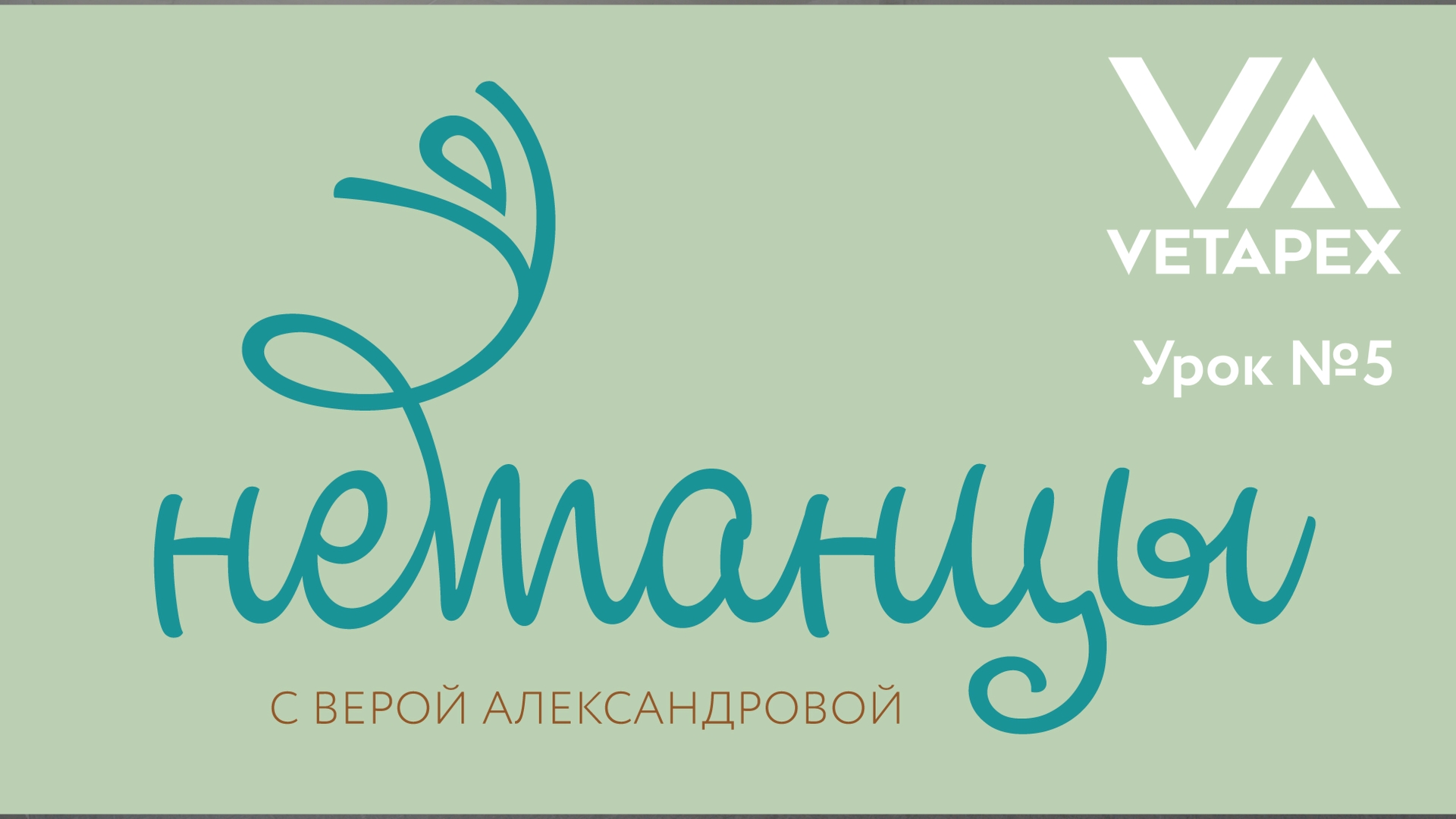 НЕтанцы с Верой Александровой. Урок 5