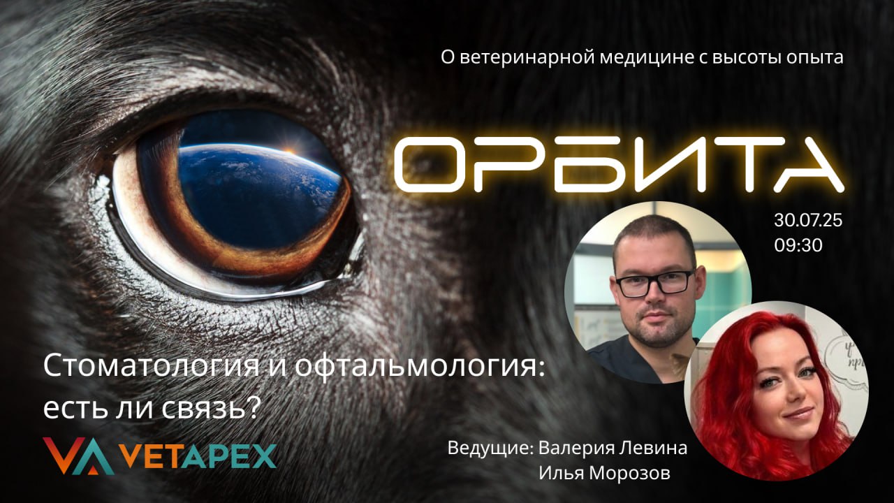«ОРБИТА»-  с офтальмологом Ильей Морозовым и стоматологом Валерией Левиной