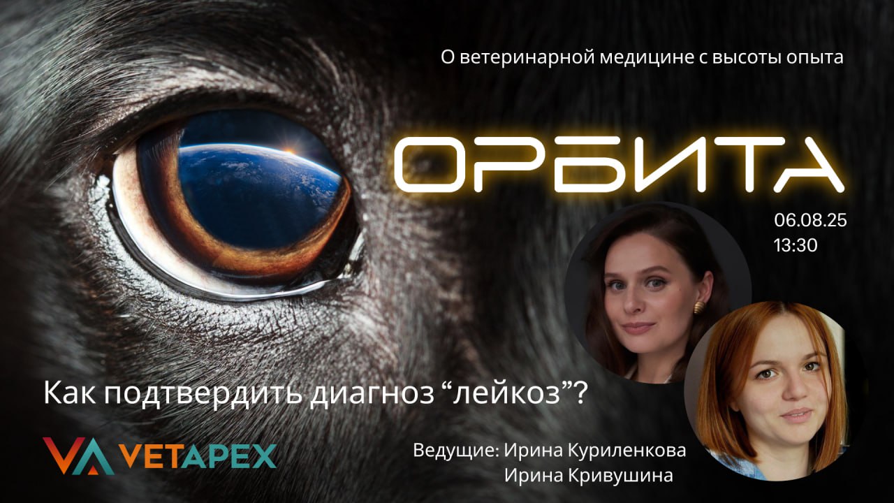«ОРБИТА»- с врачом лабораторной диагностики Ириной Куриленковой и гематологом Ириной Кривушиной