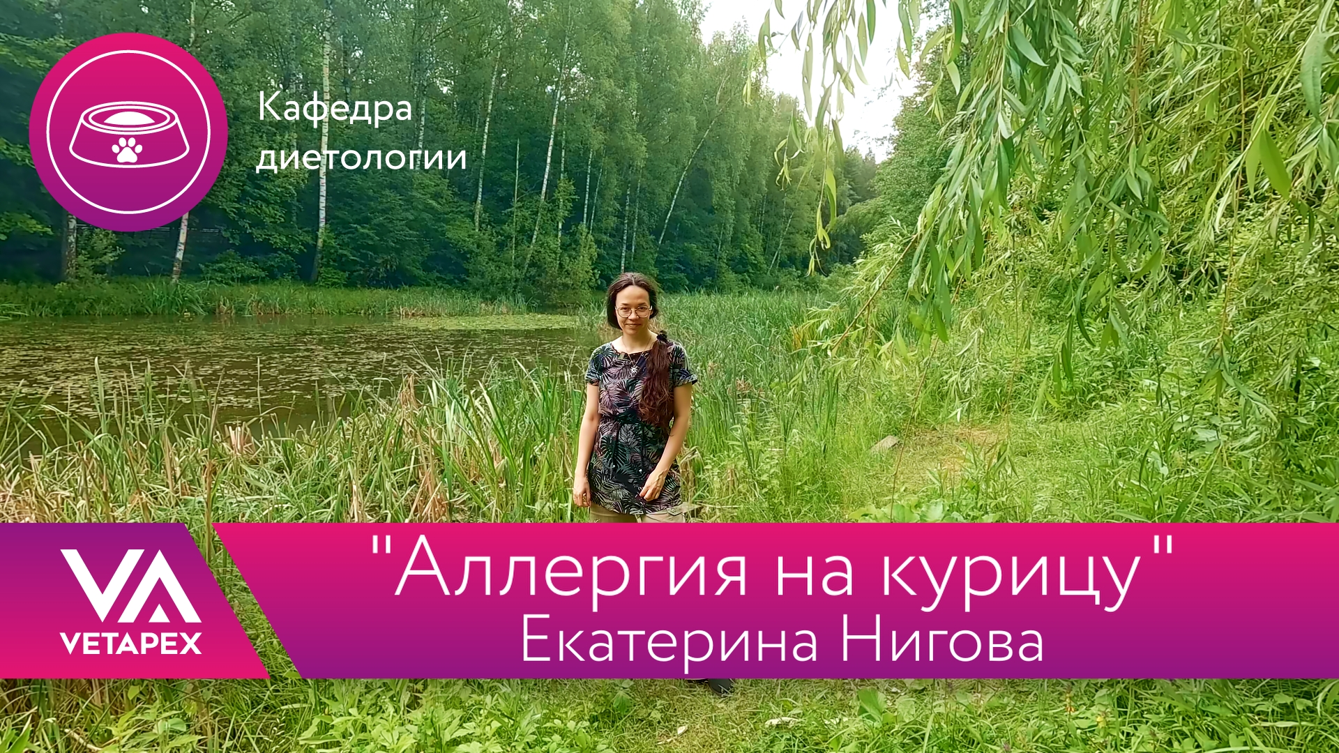 «Аллергия на курицу»