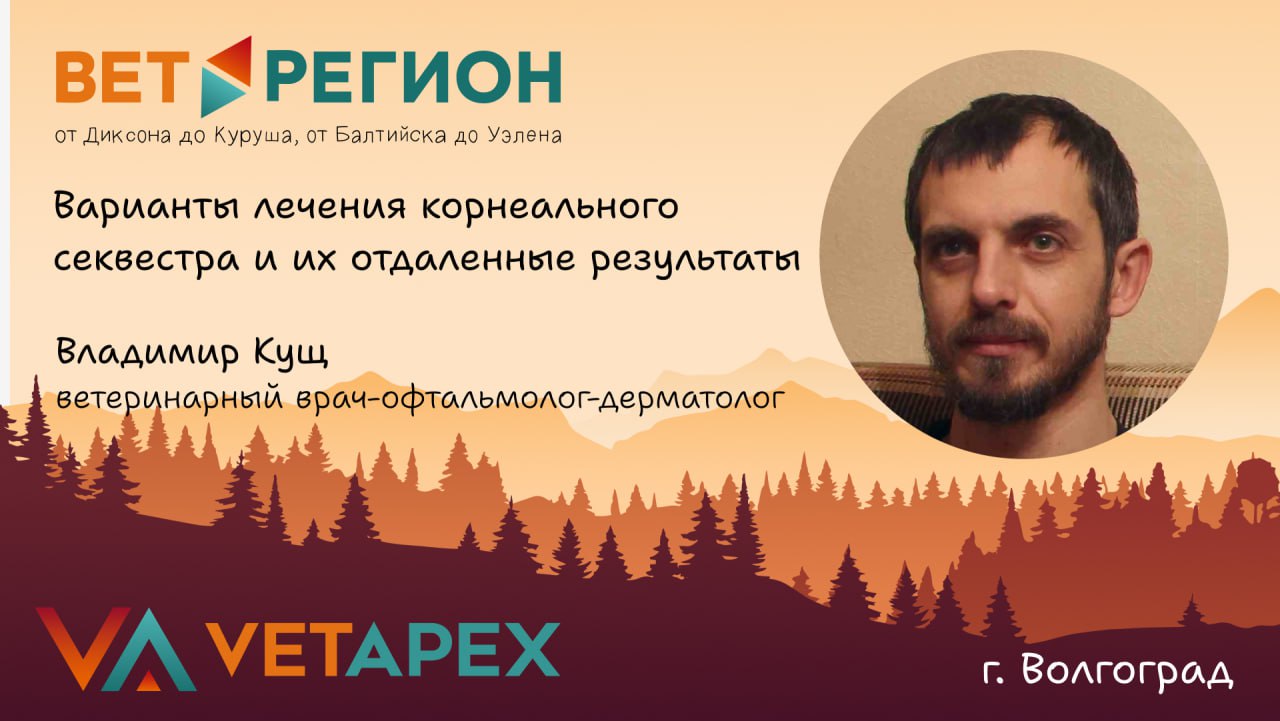 ВетРегион №13 — Владимир Кущ «Варианты лечения корнеального секвестра и их отдаленные результаты»