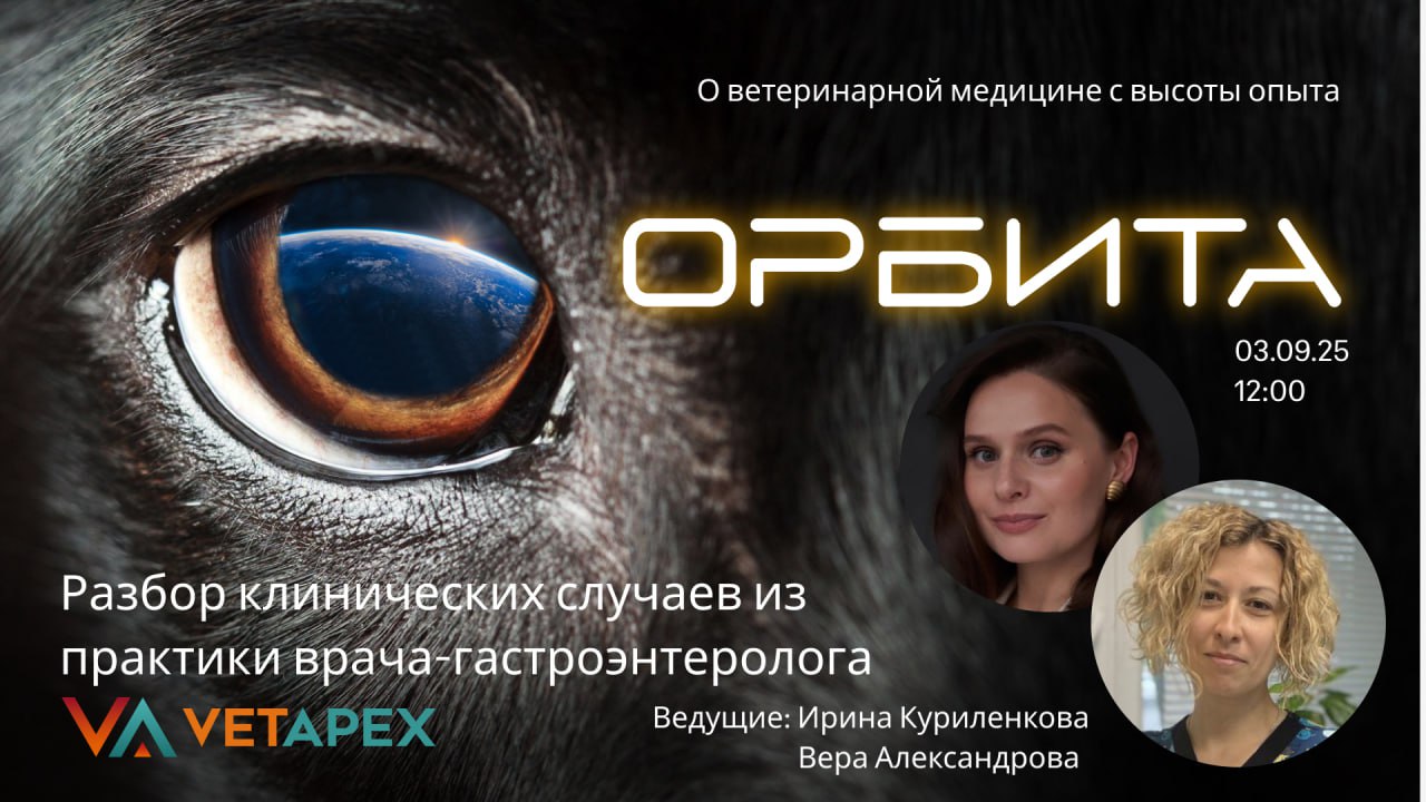 «ОРБИТА» с Ириной Куриленковой и Верой Александровой