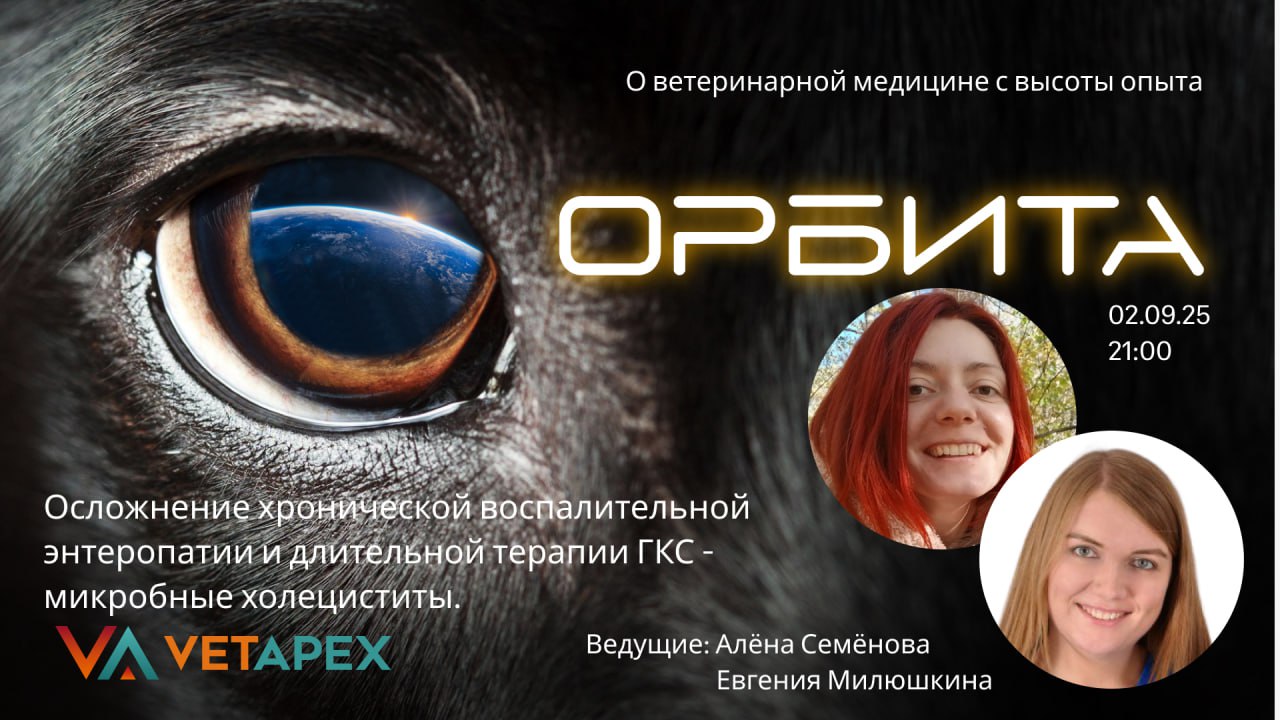 «ОРБИТА» с Алёной Семёновой и Евгенией Милюшкиной