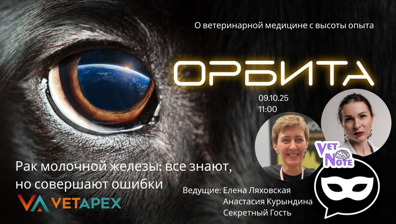 «ОРБИТА» с онколагами Еленой Ляховской, Анастасией Курындиной и их СЕКРЕТНЫМ ГОСТЕМ!