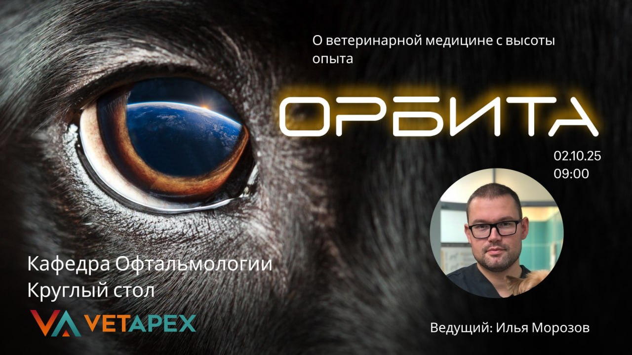 «ОРБИТА» с офтальмологом Ильей Морозовым