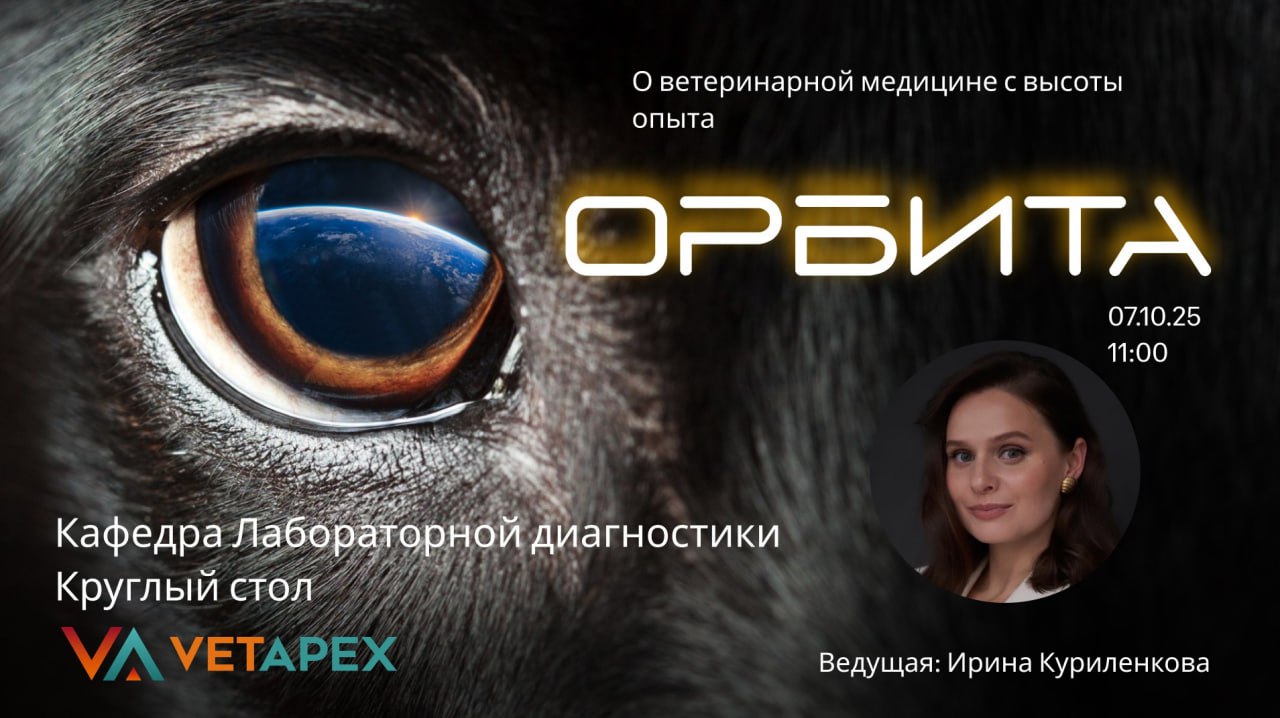 «ОРБИТА» с Ириной Куриленковой — врачом лабораторной диагностики, директором по науке лаборатории «Неовет»