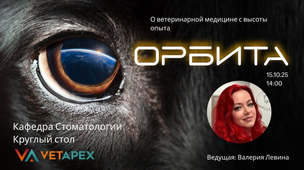 «ОРБИТА» со стоматологом Валерией Левиной