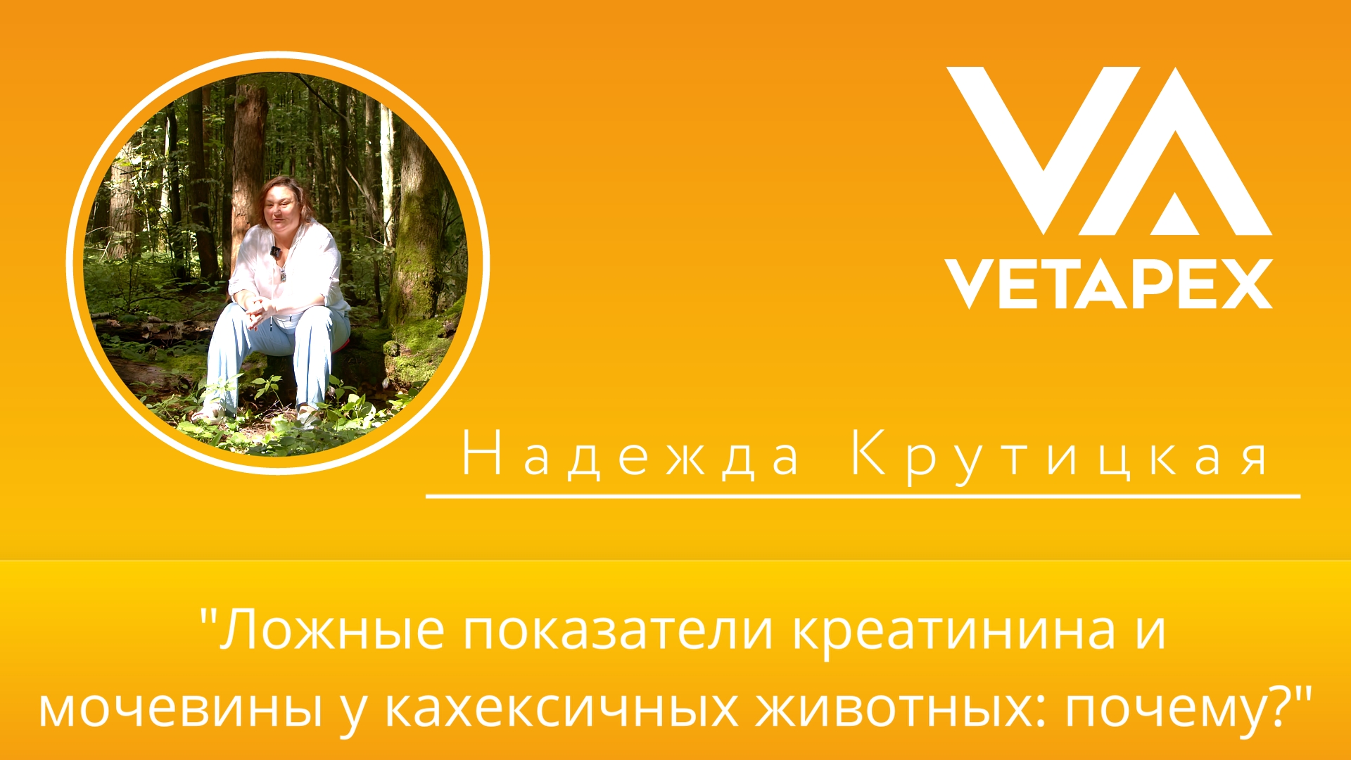 «Ложные показатели креатинина и мочевины у кахексичных животных: почему?»