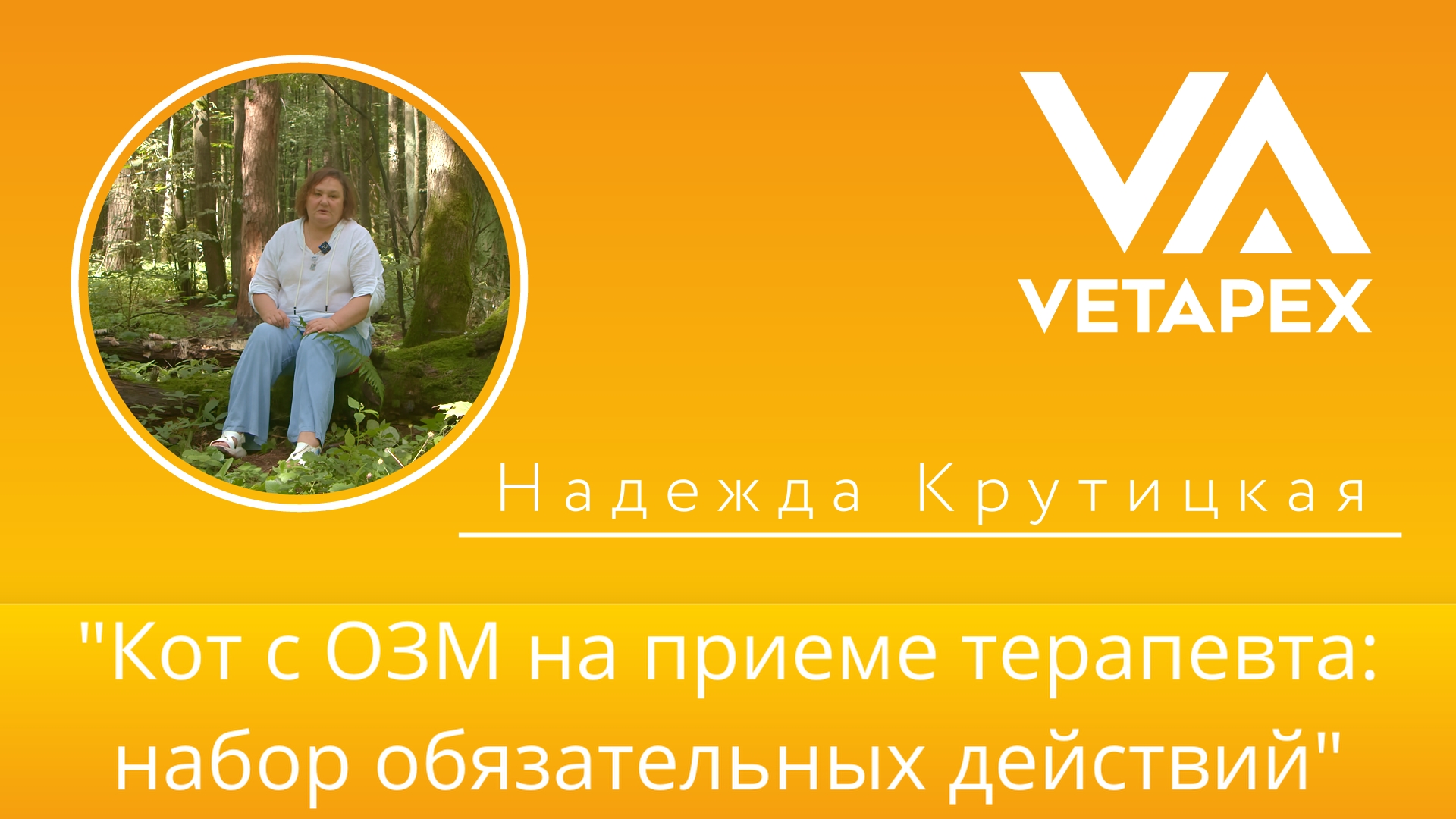 «Кот с ОЗМ на приеме терапевта: набор обязательных действий»