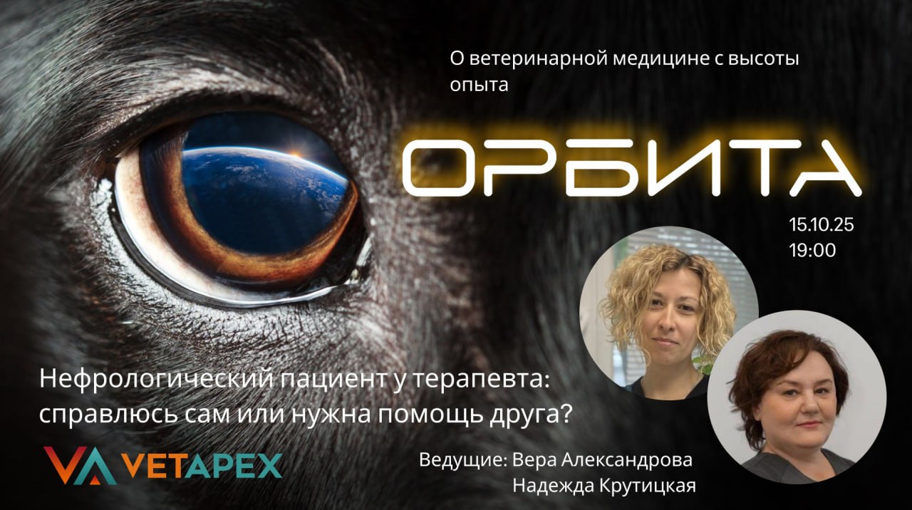«ОРБИТА» с терапевтом Верой Александровойи нефрологом Надеждой Крутицкой 