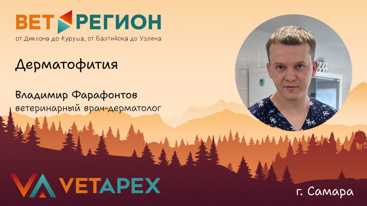 ВетРегион №14 —  Владимир Фарафонтов «Дерматофития»