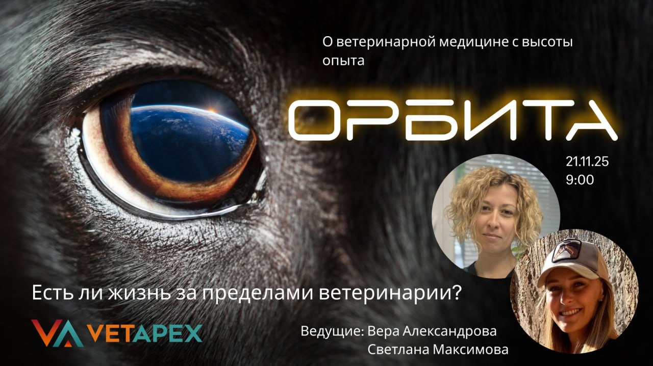 «ОРБИТА» с ветеринарными врачами Верой Александровой и Светланой Максимовой