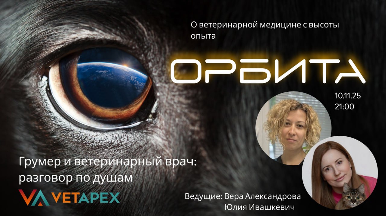 «ОРБИТА» с терапевтом Верой Александровой и грумером Юлией Ивашкевич