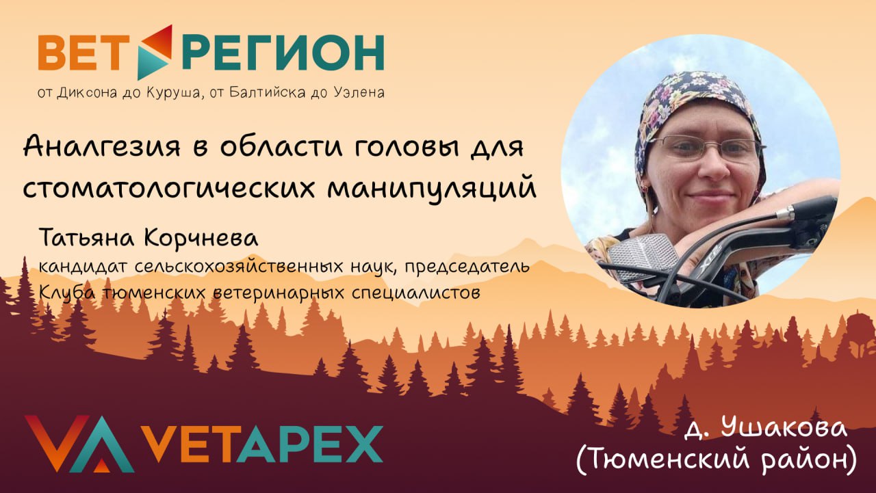 ВетРегион №15 —  Татьяна Кочнева «Аналгезия в области головы для стоматологических манипуляций»