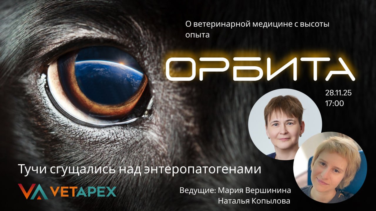 «ОРБИТА» с Марией Вершининой и Натальей Копыловой