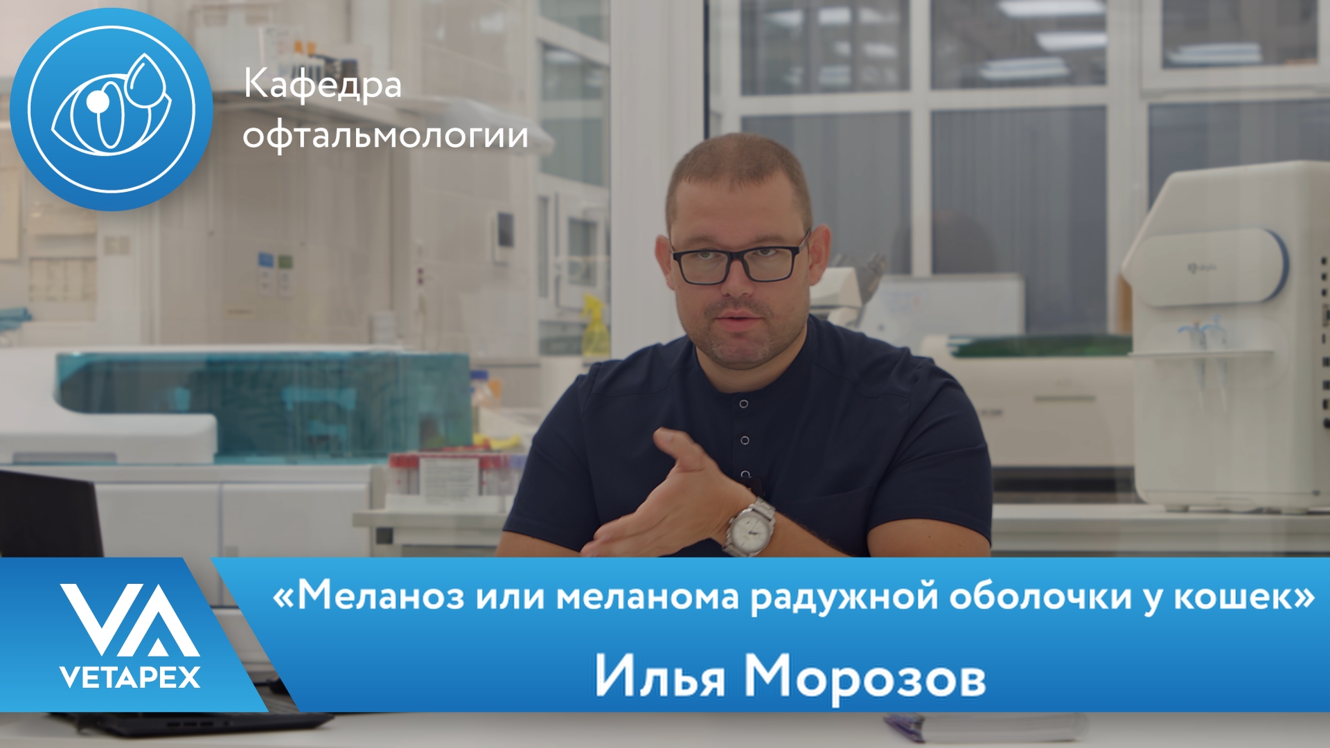 «Меланоз или меланома радужной оболочки у кошек»