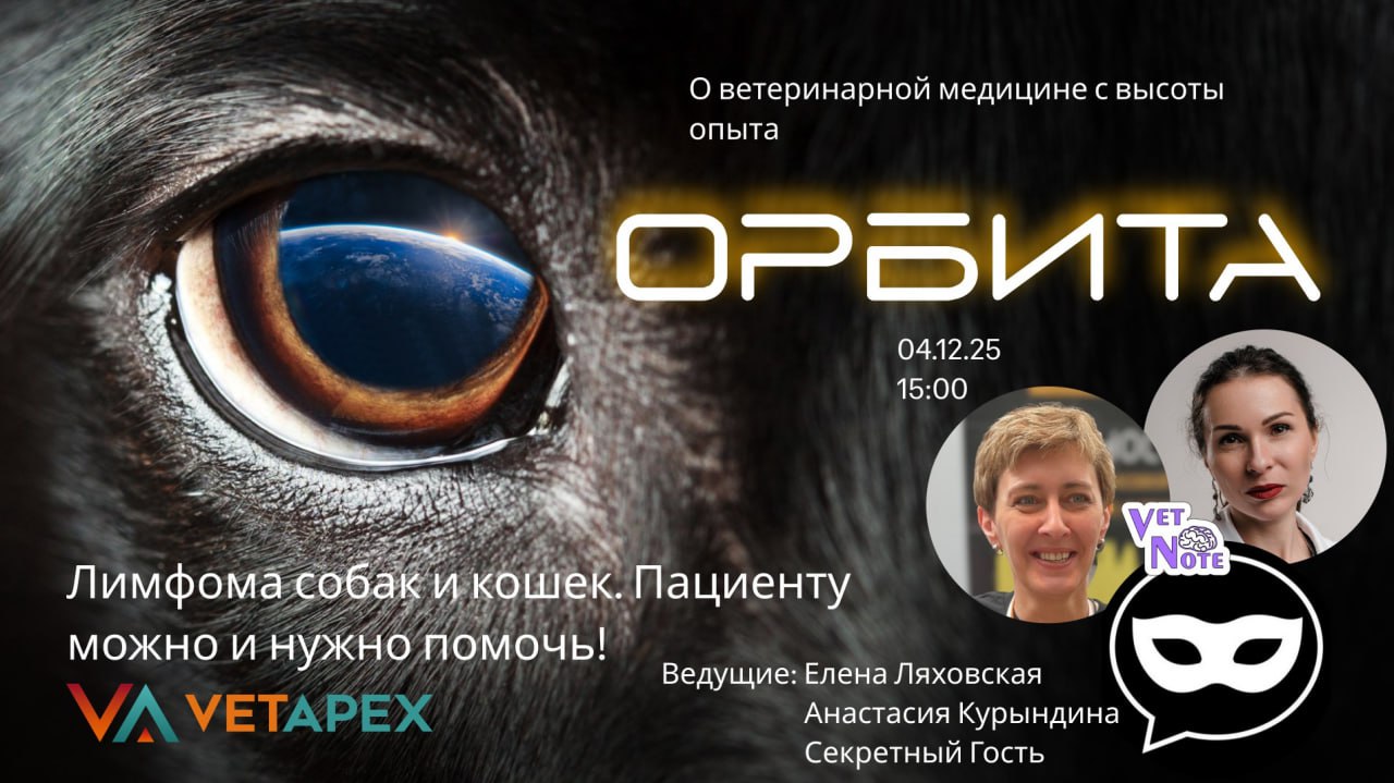 «ОРБИТА» с онкологами Еленой Ляховской и Анастасией Курындиной, а так же их СЕКРЕТНЫМ ГОСТЕМ!