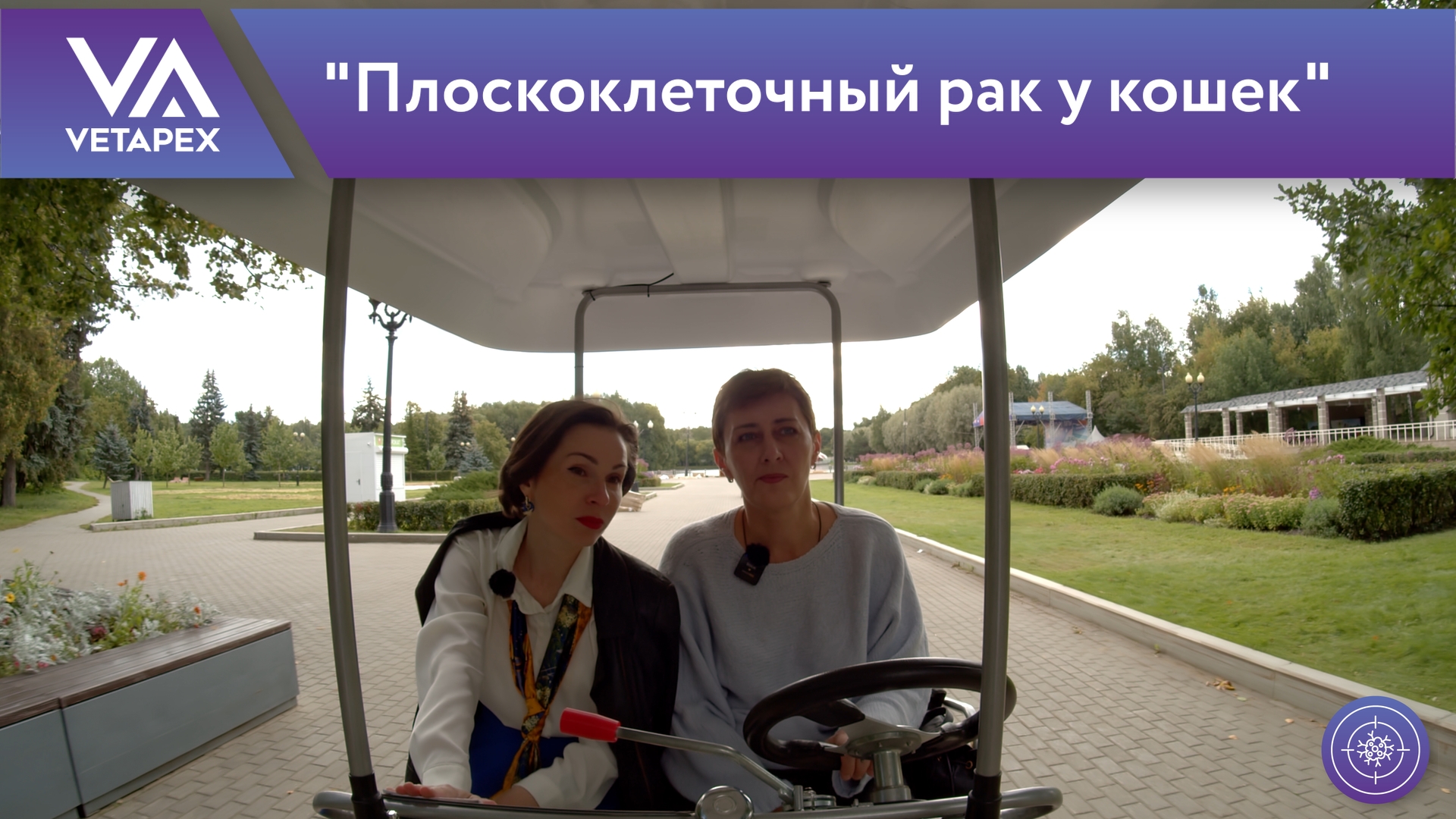 «Плоскоклеточный рак у кошек»