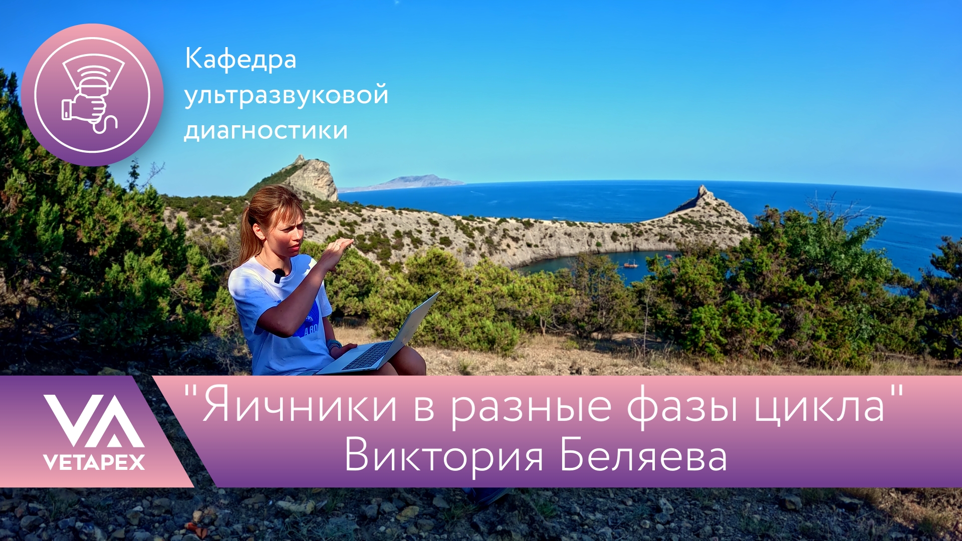 «Яичники в разные фазы цикла»