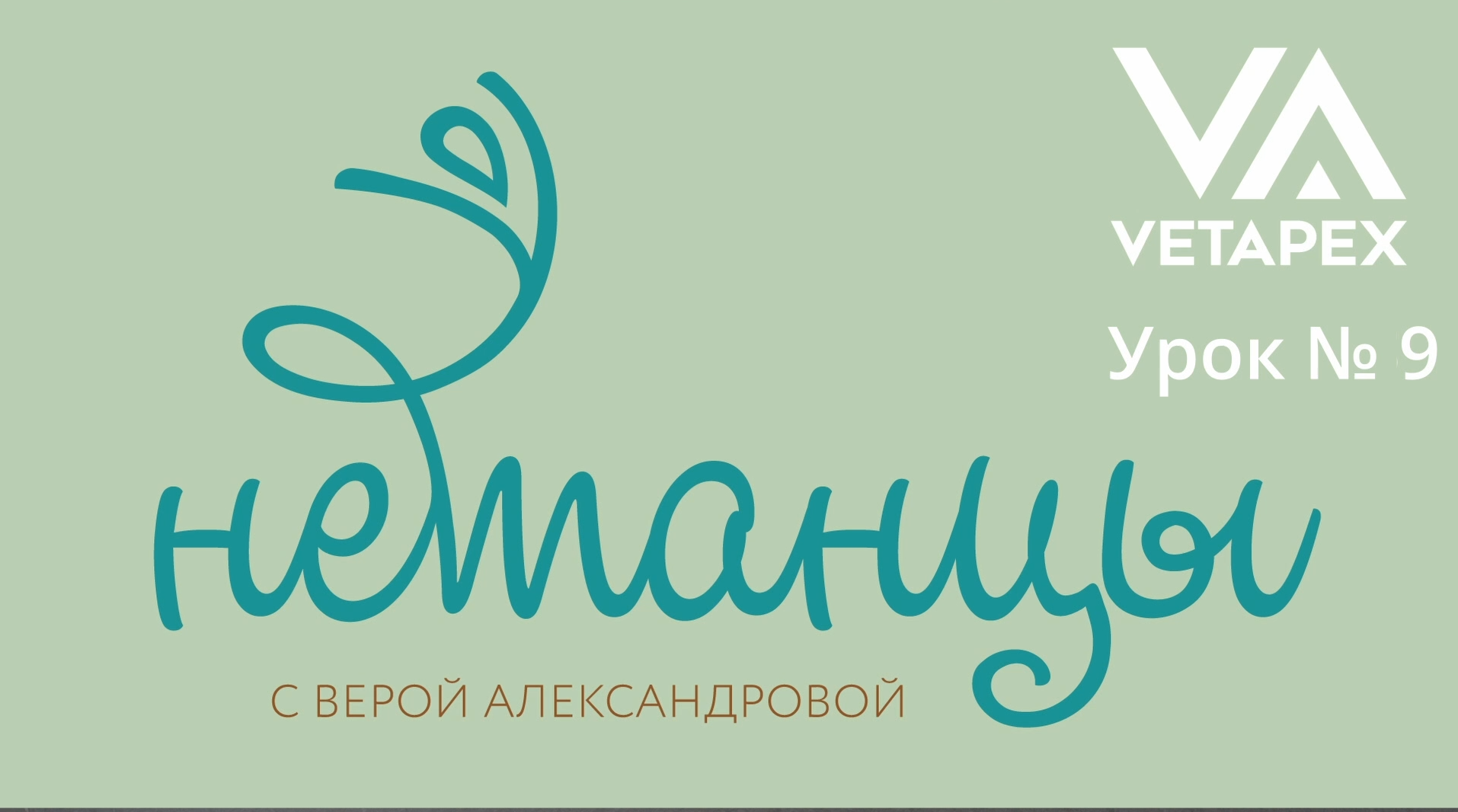 НЕтанцы с Верой Александровой. Урок 9