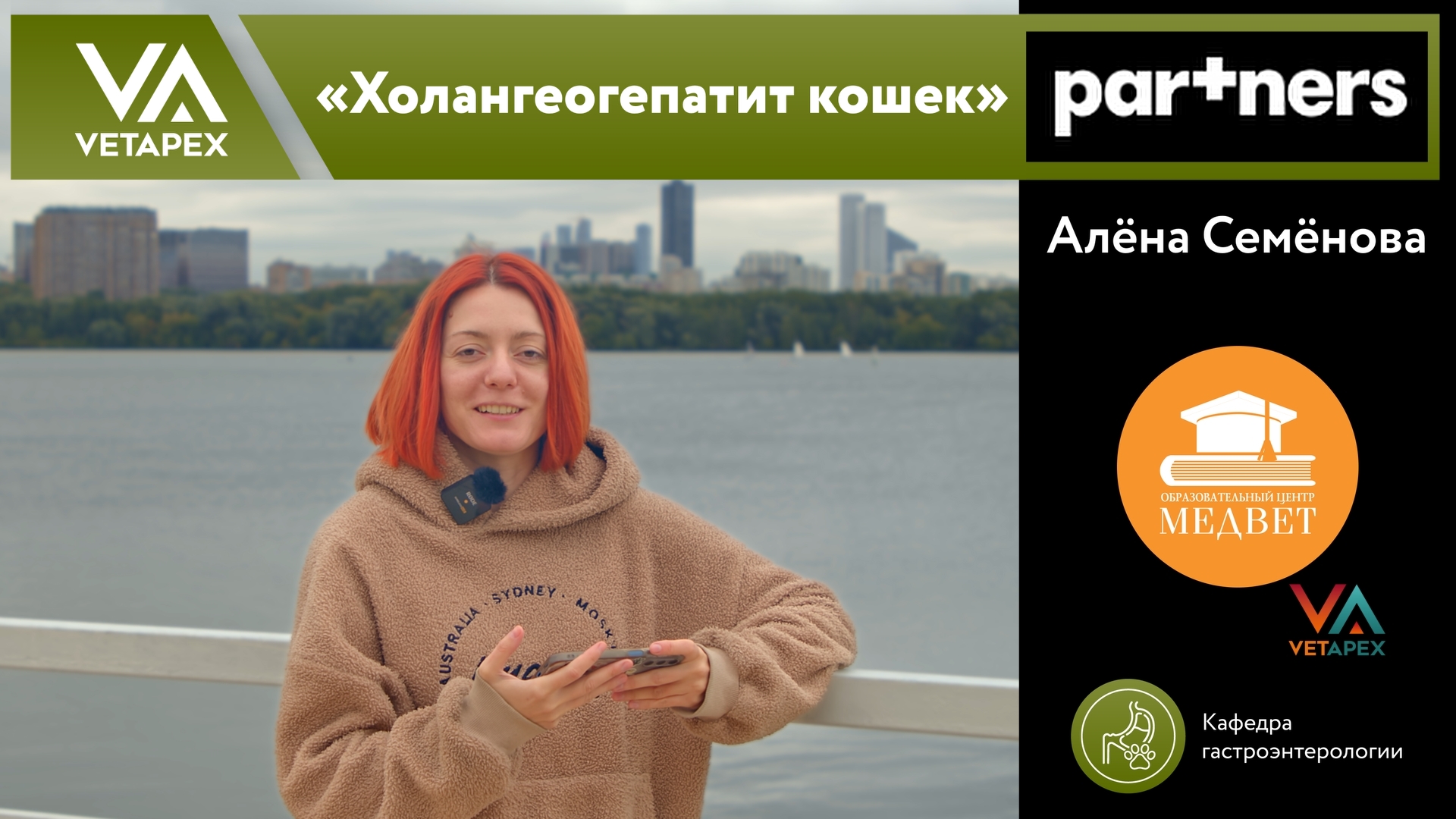 «Холангеогепатит кошек»